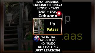 English to Bisaya  Cebuano Lessons  15 Common Words Lesson 41 [upl. by Erdah]