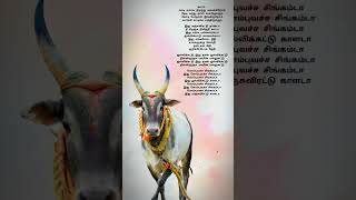 Kombu Vacha Singamda Idhu Kombu Vacha Singamda  JallikkattuIdhu thaan Jallikkattu  Maatu Pongal [upl. by Nudnarb]