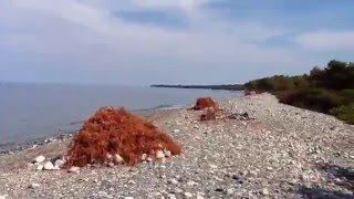 SAMOTHRAKI CAMPING AREA [upl. by Vorfeld186]