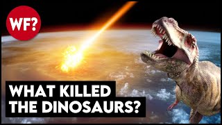 Why The Dinosaurs Died  The Chicxulub Asteroid Impact [upl. by Sergent]