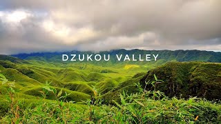 Dzukou valley  Assamese Travel Film [upl. by Quintin]