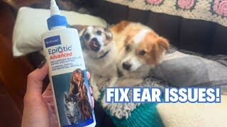 Virbac EpiOtic Advanced Ear Cleanser for Dogs amp Cats  Treating Yeast Bacteria and Wax for Dogs [upl. by Annasoh]