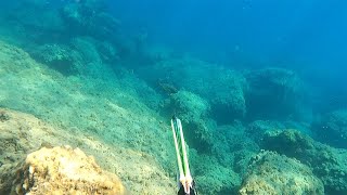 KUZEY KIBRIS ZIPKINLA KARIŞIK KIYI AVLARI SPEARFISHING IN CYPRUS [upl. by Bresee]