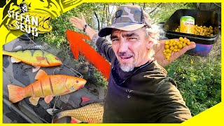 UNBEKANNTER WALDSEE ‼️ Welche Fische kann ich FANGEN❓Karpfen und Hechtangeln am neuen Gewässer [upl. by Solokin]