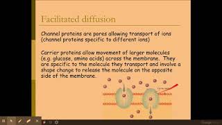 215 Biological membranes di The movement of molecules across membranes [upl. by Werbel]