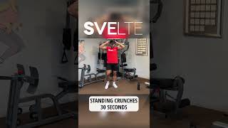 8 Min Full Standing Workout Beginner Friendly [upl. by Rexford]