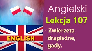 Język Angielski  №107 Zwierzęta drapieżne gady Angielski dla Polaków Słowa tematyczne [upl. by Eniarrol]