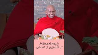 වැඩියෙන් සතුටු දුන්නමද 💫ලැබුනමද💫bana banakatha dharmadeshana welimadasaddhaseelathero [upl. by Packer]