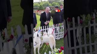 Putin Kim bond over dogs horses and driving [upl. by Enylcaj]