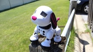 Zoomer Zuppies Review the Interactive Robotic Dog SCARLET [upl. by Gylys269]