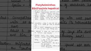 Type Study  Fasciola hepatica  BSc Zoology  Full Notes in Description [upl. by Behn]