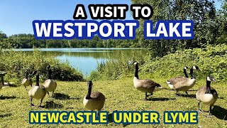 A Visit to WESTPORT LAKE  Newcastle Under Lyme  Staffordshire  Nature and wildlife Reserve [upl. by Haynes361]