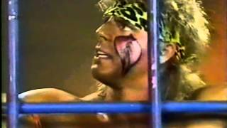 Ultimate Warrior Promo on Rick Rude 08051990 [upl. by Michael27]