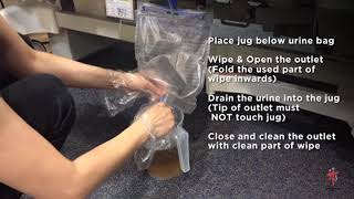 Care of Urinary Catheter  Emptying of Urine Bag for Bedbound Person [upl. by Moor]