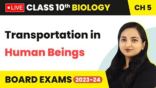 Transportation in Human Beings  Life Processes  Class 10 Biology Chapter 5 LIVE 202324 [upl. by Nabla]