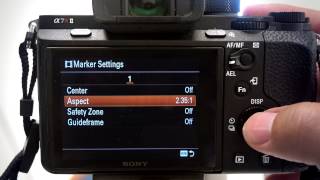 How To Enable Marker Display On Your Sony a7Rii [upl. by Welker42]