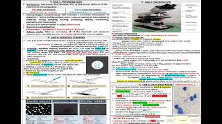 SHEET FINAL REVISION GENERAL MICROBIOLOGY شرح بالعربي [upl. by Nalepka]