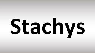 How to Pronounce Stachys [upl. by Uwton]