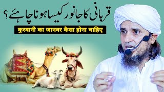 Qurbani Ka Janwar Kaisa Hona Chahiye  Mufti Tariq Masood [upl. by Eliot]