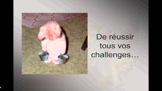 L An 2014 souhait des animaux par Simone [upl. by Kresic]