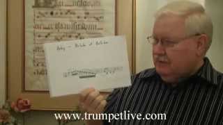 How to Play Trumpet  Lesson on Developing Consistency on the Trumpet with David Hickman [upl. by Freddy]