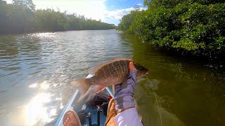 Kayak Fishing around the Mangroves  How to Catch a Ton of Mangrove Snapper [upl. by Giorgi573]