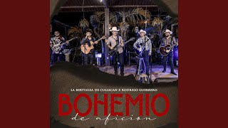 Bohemio de Afición En Vivo [upl. by Ecirtnuahs]