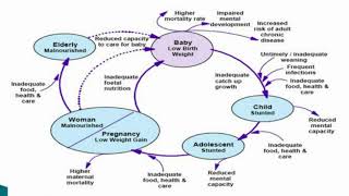 Dietary practice and nutritional status of pregnant women  Video abstract ID 257610 [upl. by Tseng]