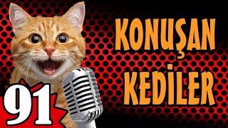 Konuşan Kediler 91  En Komik Kedi Videoları  PATİ TV [upl. by Redlac741]