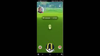 Caterpie Weedle amp Wurmple Spotlight Hour [upl. by Meras48]