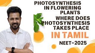 lightreactions in tamil ll photosynthesis in flowering plants neet2025 [upl. by Heringer]