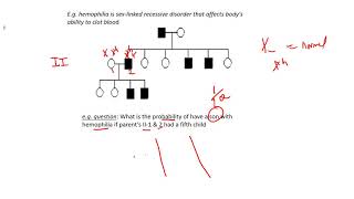 sex linked recessive 1b page 57 [upl. by Aroved451]