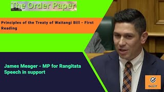 James Meager on the Principles of the Treaty of Waitangi Bill  First Reading [upl. by Enala]