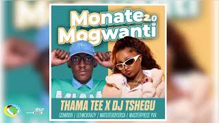 Thama Tee amp DJ Tshegu  Monate mogwanti 20 Ft Cowboii LeeMcKrazy Matuteboyrsa amp Master Piece YVK [upl. by Jedediah]