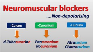 Nondepolarising Neuromuscular blockers  Mechanism actions amp side effects [upl. by Nameerf690]