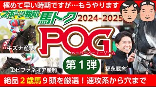 【POG情報20242025】２歳馬情報を大公開！エピファネイア産駒、サートゥルナーリア産駒、キズナ産駒など…競馬 pog 2歳馬情報 [upl. by Kilby]