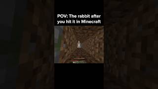 Minecraft Rabbit Moment [upl. by Qulllon]