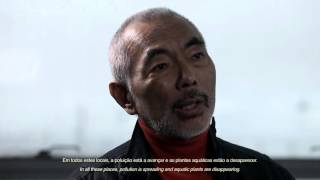 Entrevista  Interview Takashi Amano on quotNature Aquariumquot [upl. by Lemor754]