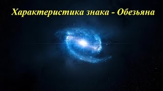 Характеристика знака  Обезьяна [upl. by Fortin405]