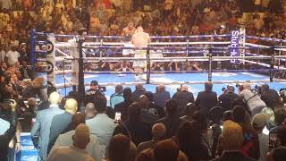 Anthony Joshua vs Andy Ruiz  Round 3 Knockdowns 060119 [upl. by Erodasi]