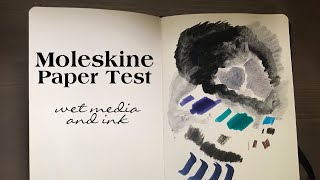 Moleskine Art Collection Sketchbook Paper Test [upl. by Sirret]