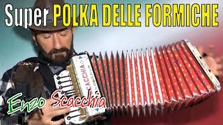 Super POLKA DELLE FORMICHE occhio alla seconda parte ENZO SCACCHIA CAMPIONE DEL MONDO DI ORGANETTO [upl. by Tamarah]