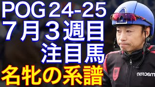 【POG2425】７月３週目デビューの注目新馬を紹介【名牝の仔が札幌に登場！池添Ｊ×ショウナンサムデイ！】 [upl. by Alakcim]