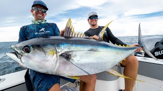 Monster Yellowfin Tuna [upl. by Sac]