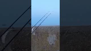 Lowestoft Pier Sea Fishing [upl. by Alidis]