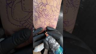 Whip Color Tattoo [upl. by Medin]