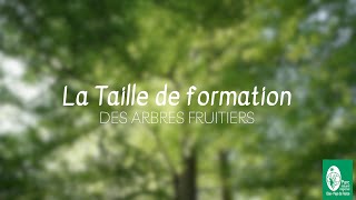 2 TAILLE DE FORMATION  Tutoriel [upl. by Hanae164]