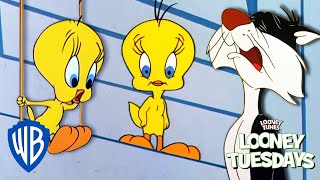 Looney Tuesdays  Did Tweety Taw a Putty Tat  Looney Tunes  WB Kids [upl. by Alessig751]