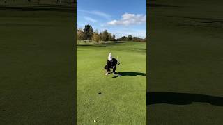 Can she birdie hole 3 at Bawtry Golf Club birdie golf bawtrygolf girlpower [upl. by Seif]