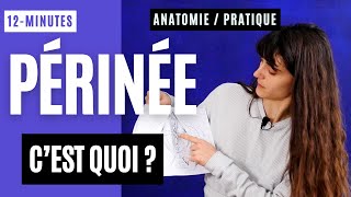 Cest quoi le PÉRINÉE  Anatomie et pratique  12min [upl. by Karilynn]